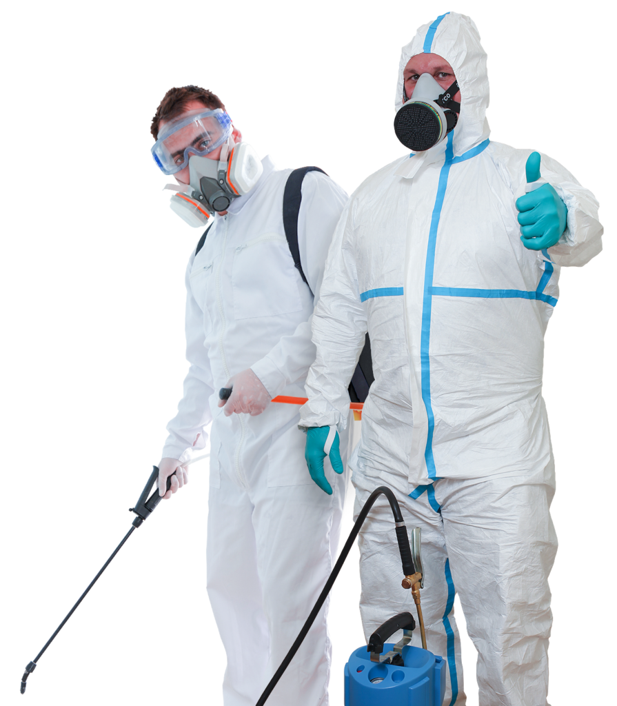 Mold Remediation Specialists Hackensack NJ