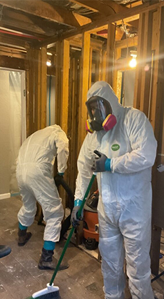 Mold Remediation and Removal in Hackensack New Jersey